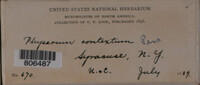 Image Associated With the Occurence